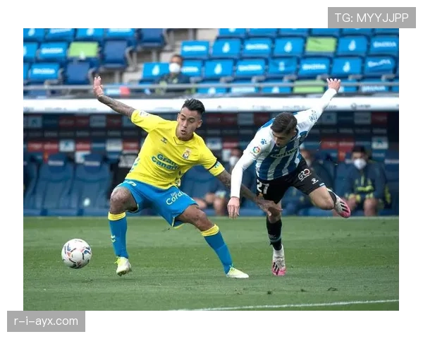 帕尔马防守体系 帕尔马防守体系