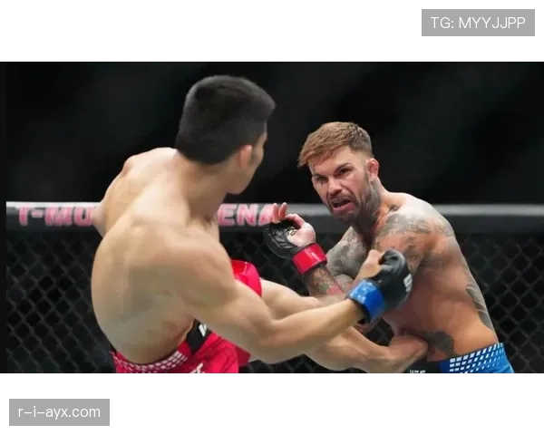 布兰特职业轨迹 布兰特职业轨迹